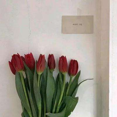 ROR体育官网登录入口